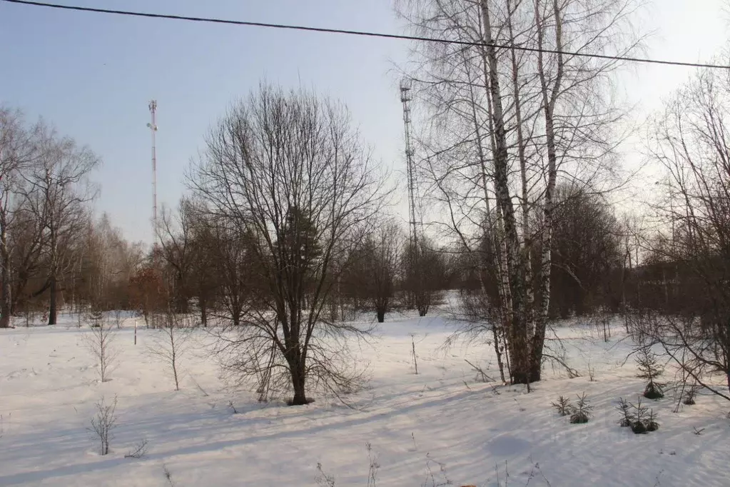 Участок в Московская область, Шаховская муниципальный округ, д. Холмец ... - Фото 2