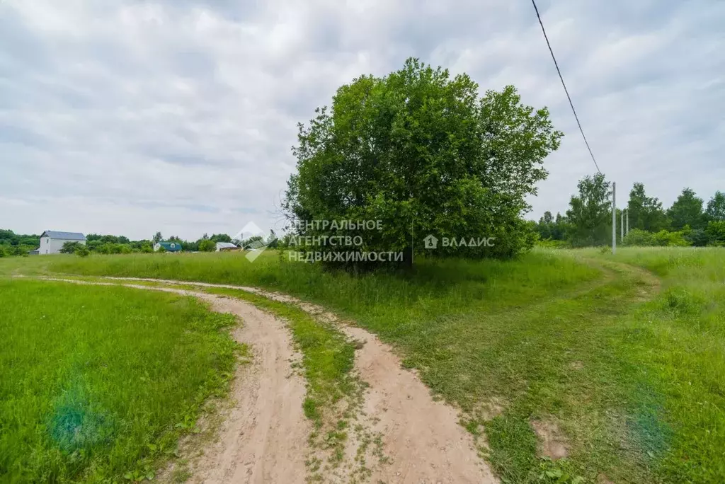 Участок в Рязанская область, Рыбновский муниципальный округ, с. ... - Фото 1