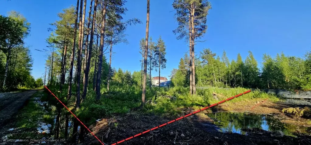 Участок в Ленинградская область, Всеволожский район, Токсовское ... - Фото 0