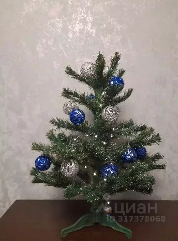 2-к кв. Калининградская область, Балтийск просп. Ленина, 75А (46.0 м) - Фото 2