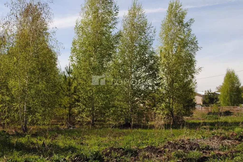Участок в Новосибирская область, Новосибирский район, Морской ... - Фото 1