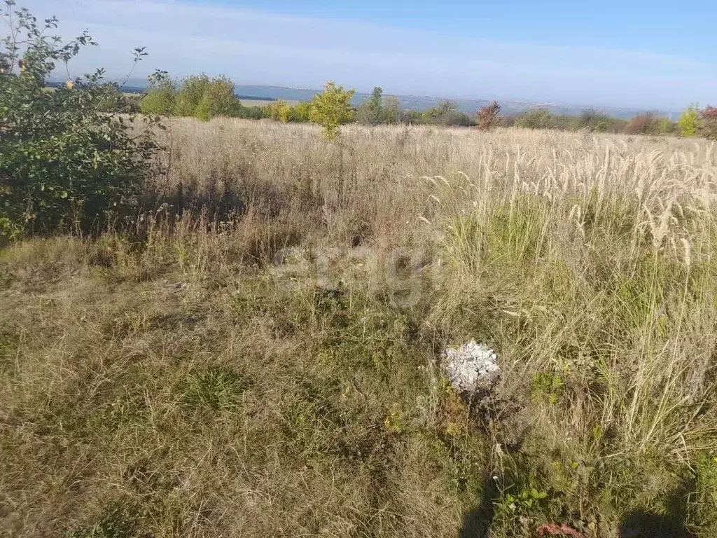 Участок в Белгородская область, Корочанский муниципальный округ, ... - Фото 1