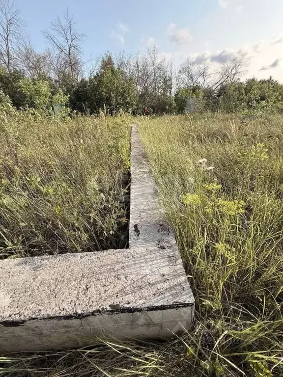 Участок в Белгородская область, Корочанский район, Мелиховское с/пос, ... - Фото 1
