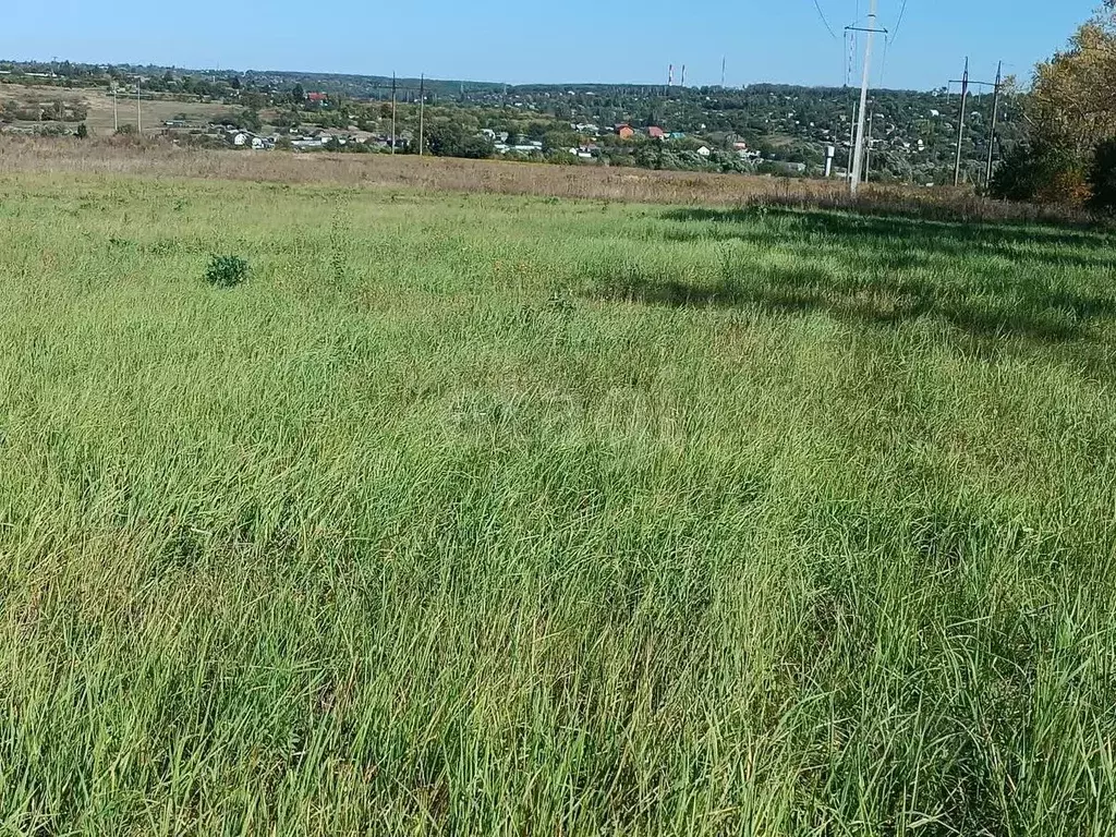 Участок в Курская область, Курский район, Моковский сельсовет, д. ... - Фото 2