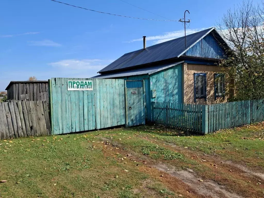 Дом в Новосибирская область, Колывань рп ул. Сергиенко, 10 (38 м) - Фото 2