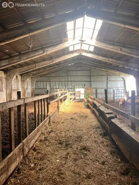 Производственное помещение (630 м) - Фото 2