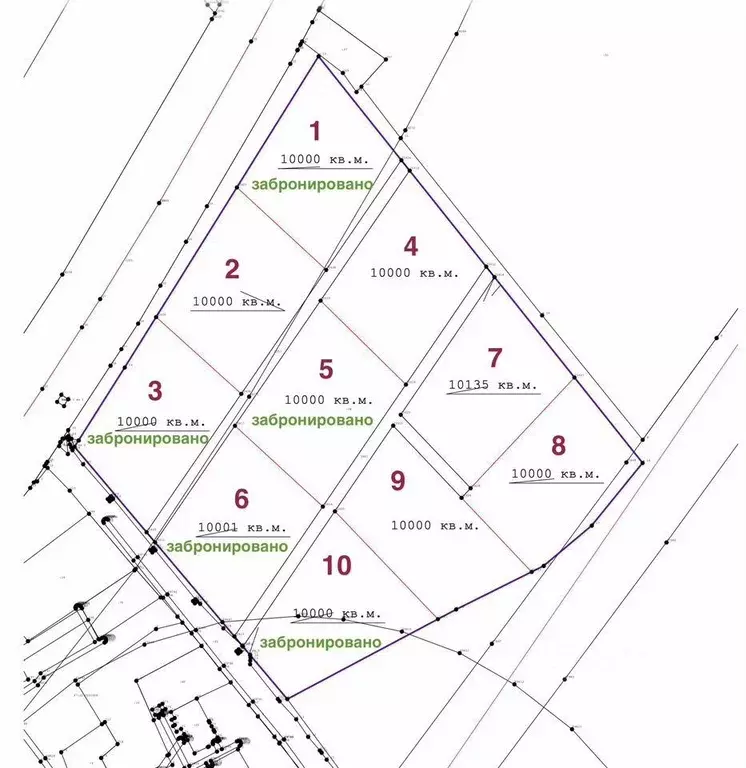 Участок в Ленинградская область, Волосовский район, Большеврудское ... - Фото 2
