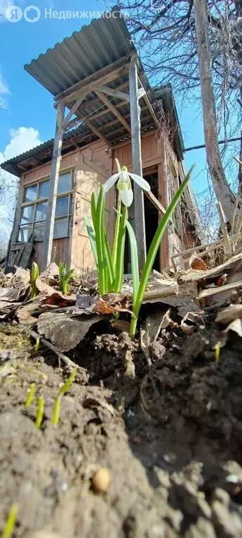 Дом в муниципальное образование Второвское, СНТ Юбилейное (40 м) - Фото 1