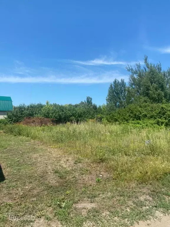 Участок в Тамбовская область, Знаменский муниципальный округ, Лесная ... - Фото 1