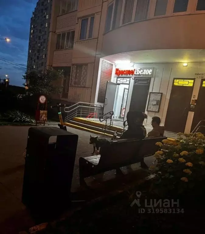 Торговая площадь в Москва Внуковское поселение, ул. Летчика Грицевца, ... - Фото 0