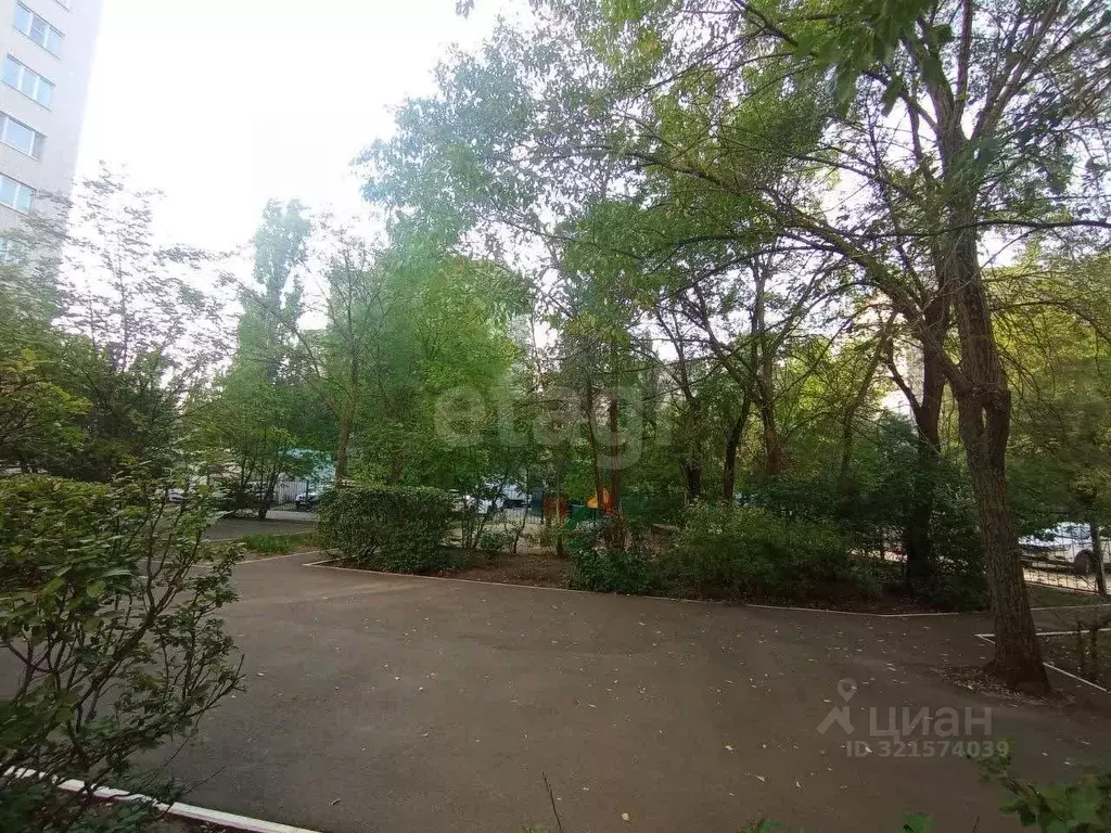 2-к кв. Воронежская область, Воронеж ул. Любы Шевцовой, 19 (60.5 м) - Фото 2