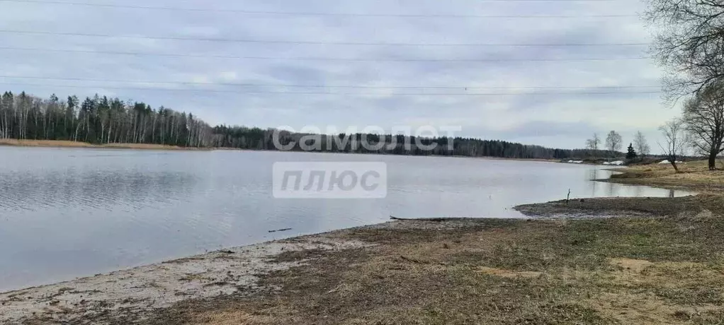 Участок в Московская область, Волоколамский муниципальный округ, д. ... - Фото 2