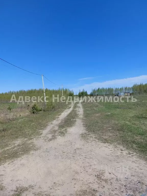 Участок в Тюменская область, Тюменский район, с. Червишево  (8.39 ... - Фото 1