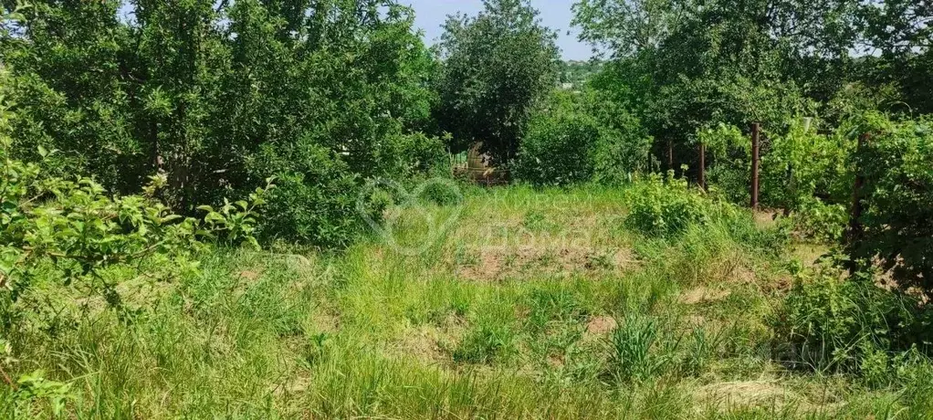 Участок в Волгоградская область, Городищенский район, Ерзовское ... - Фото 1