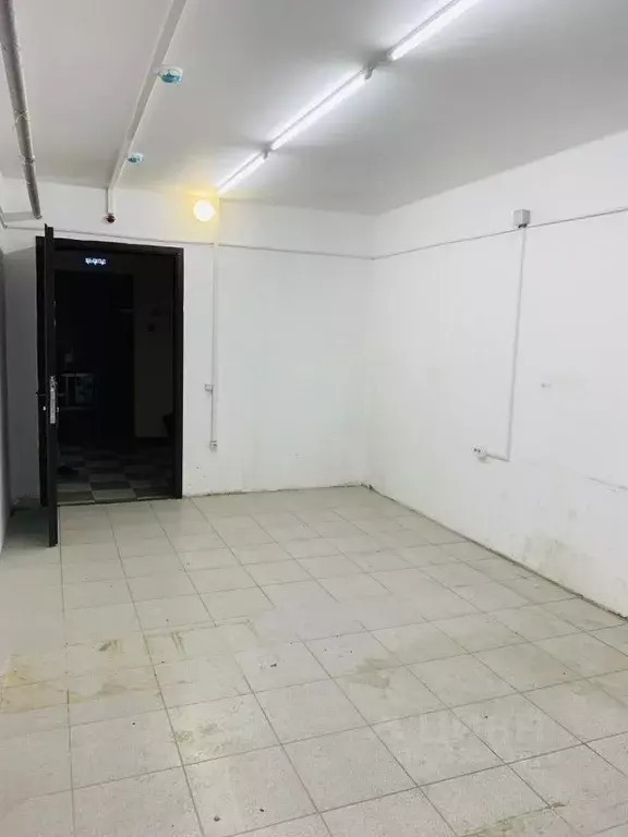 Помещение свободного назначения в Ростовская область, Ростов-на-Дону ... - Фото 1