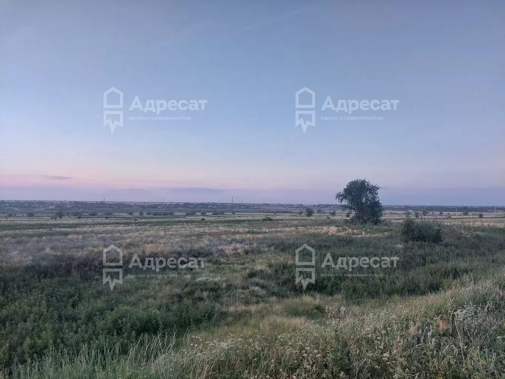 Участок в Волгоградская область, Волгоград ул. Ясногорская (8.72 сот.) - Фото 0