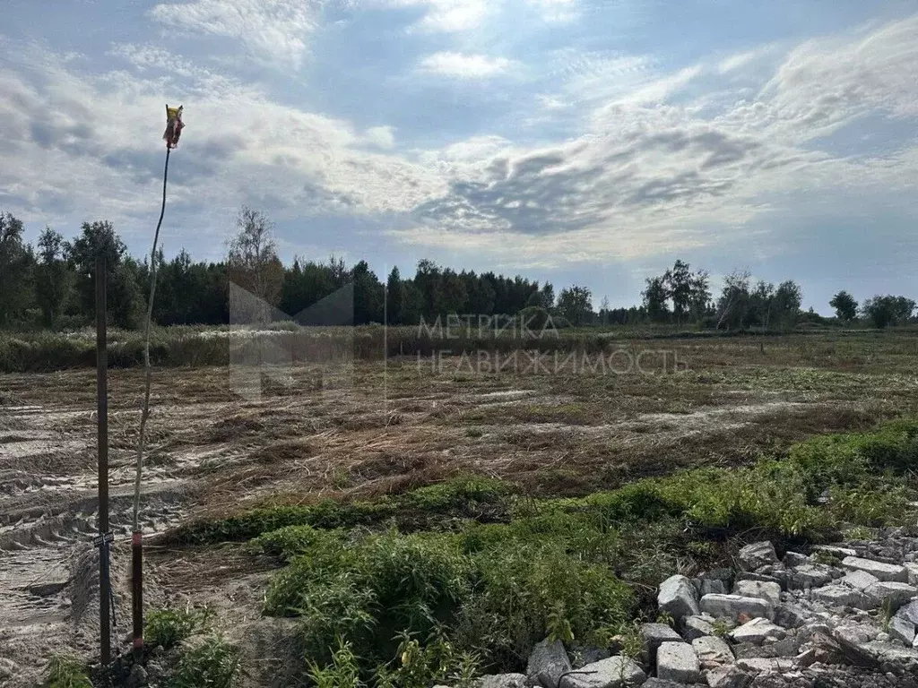 Участок в Тюменская область, Нижнетавдинский район, с. Средние Тарманы ... - Фото 0