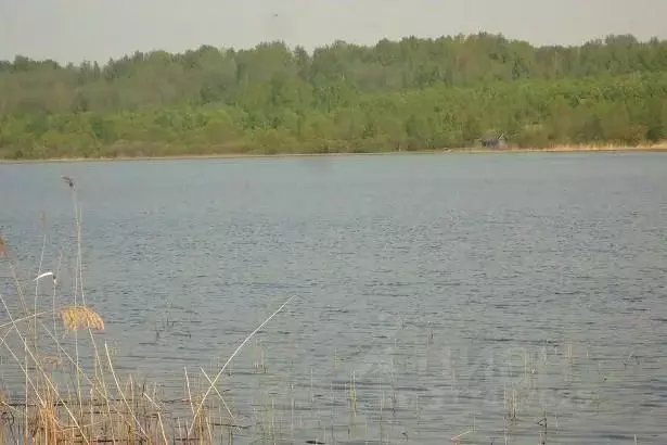 Участок в Псковская область, Плюсский муниципальный округ, д. Ктины  ... - Фото 1