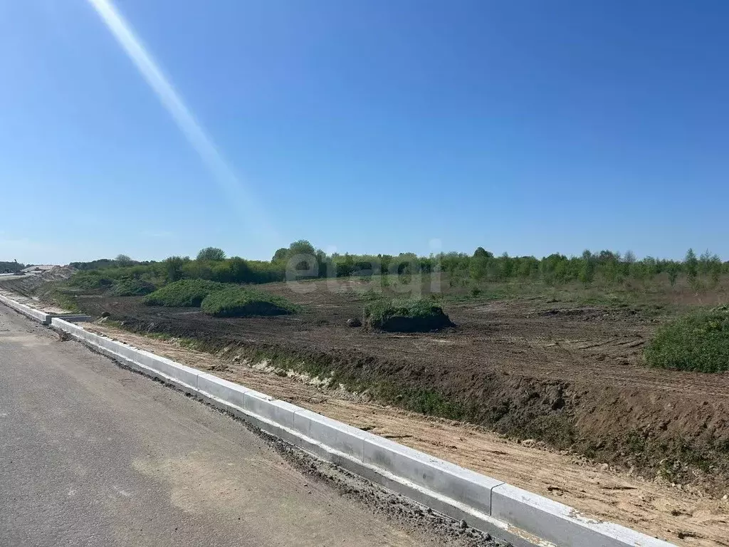 Участок в Калининградская область, Зеленоградский муниципальный округ, ... - Фото 2