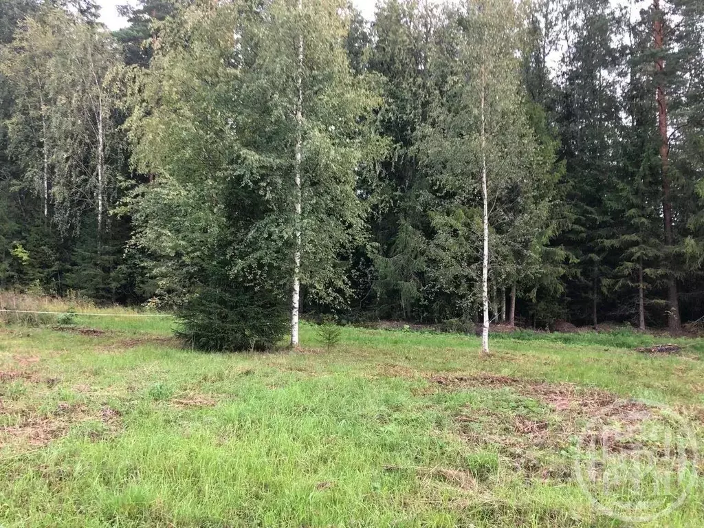 Участок в Ленинградская область, Выборгский район, Гончаровское с/пос, ... - Фото 1