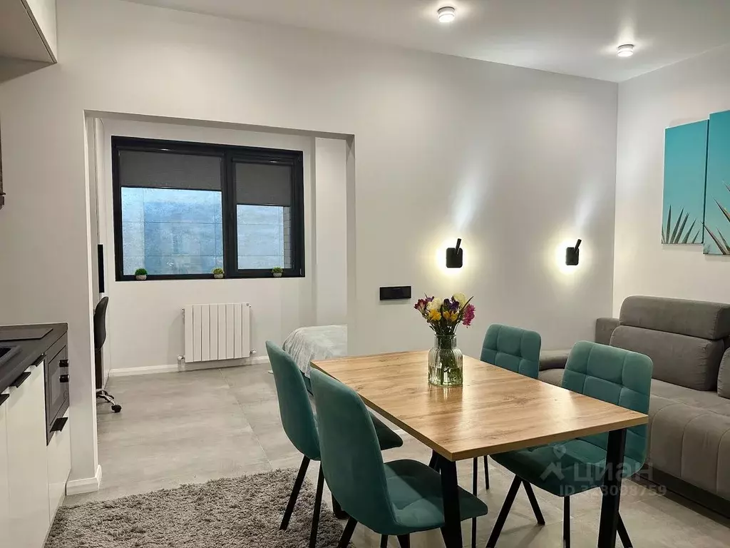 Студия Краснодарский край, Сочи Курортный просп., 96Г (30.0 м) - Фото 1