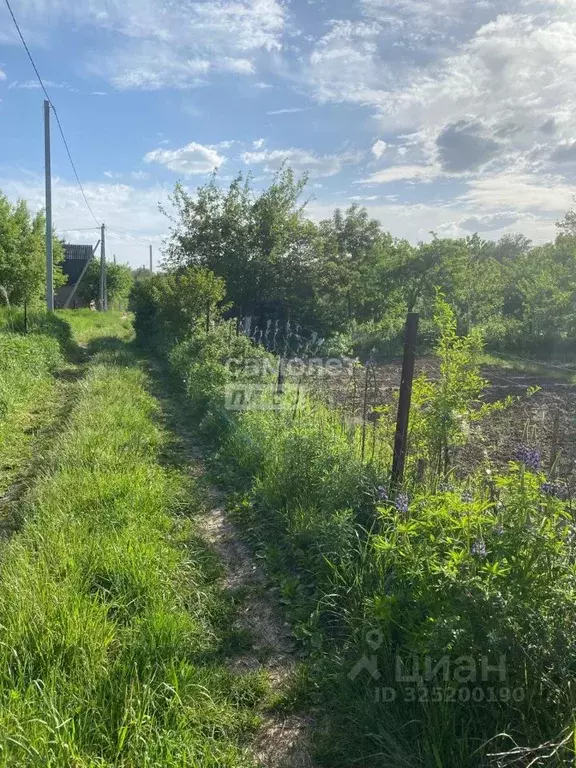 Дом в Брянская область, Брянский район, Снежское с/пос, с. Толмачево, ... - Фото 1