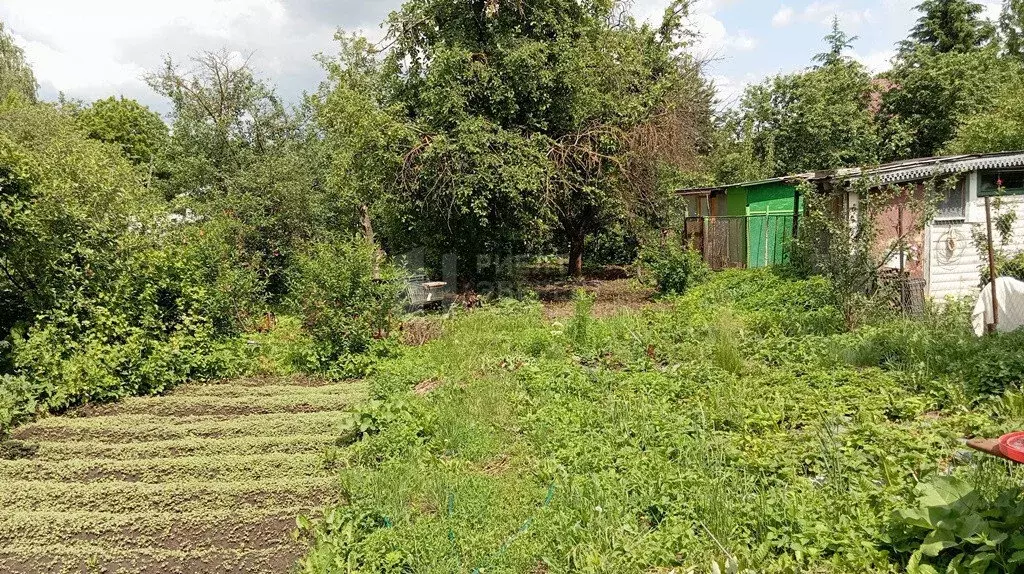 Участок в Тула, улица Карла Либкнехта, 38 (7.8 м) - Фото 1