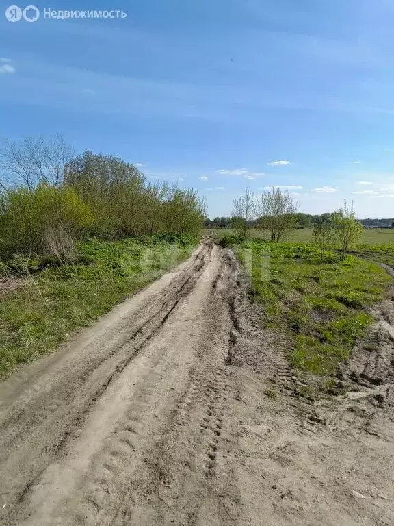 Участок в Ярославский муниципальный округ, деревня Кузнечиха ... - Фото 1