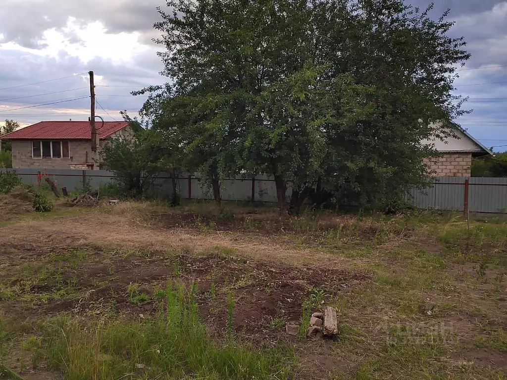 Участок в Саратовская область, Балаковский район, Натальинское ... - Фото 2