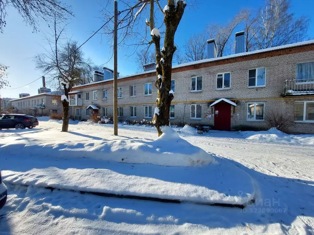 1-к кв. Ленинградская область, Гатчинский муниципальный округ, д. ... - Фото 2