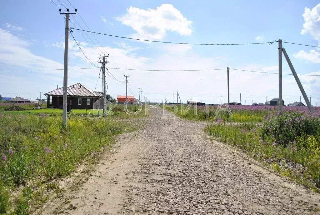 Участок в Тюменская область, Тюменский район, д. Малиновка ул. ... - Фото 0