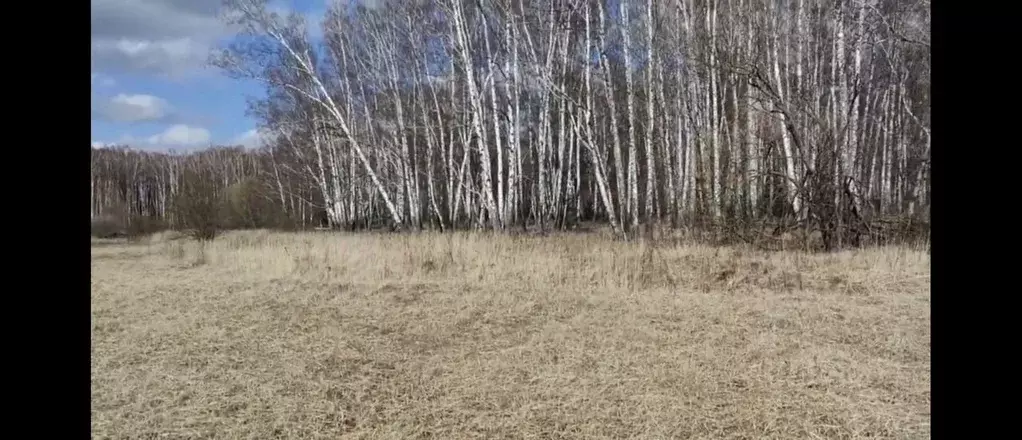 Участок в Московская область, Коломна городской округ, с. Бояркино  ... - Фото 2