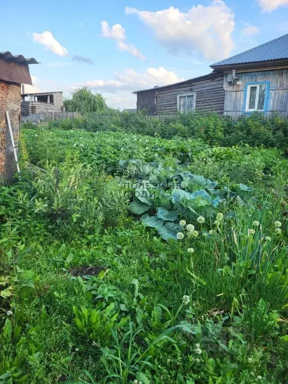 Участок в Курганская область, Варгаши рп ул. Ленина, 25 (876.0 сот.) - Фото 1