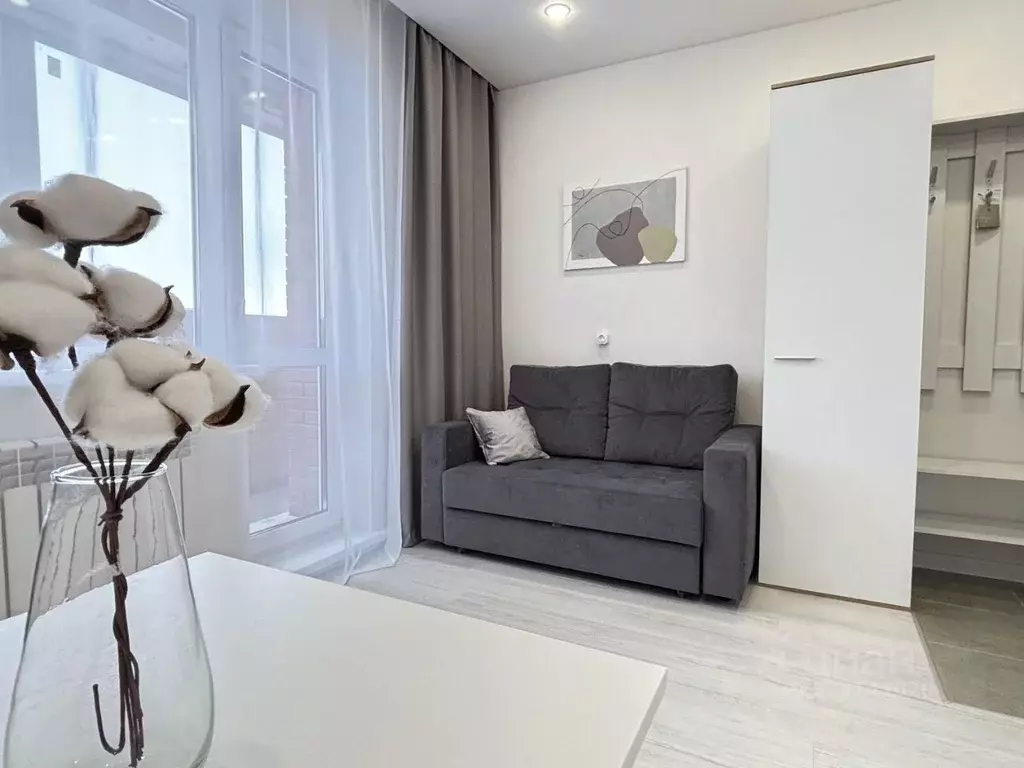 Студия Новосибирская область, Новосибирск ул. Кирова, 242 (21.0 м) - Фото 1