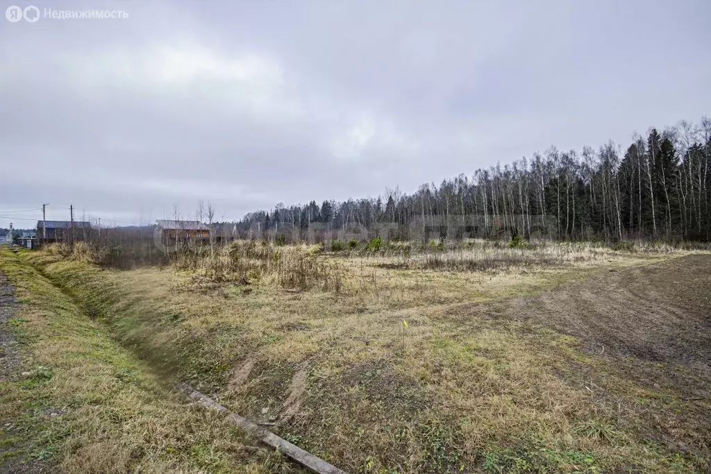 Участок в Наро-Фоминский городской округ, дачный посёлок Парус (8.05 ... - Фото 2