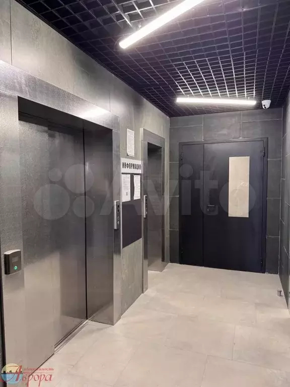 Квартира-студия, 24,6 м, 16/19 эт. - Фото 1