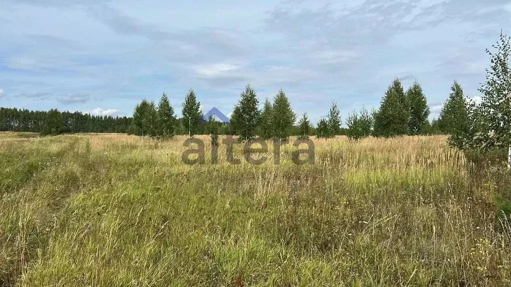 Участок в Татарстан, Рыбно-Слободский район, Анатышское с/пос, с. ... - Фото 1