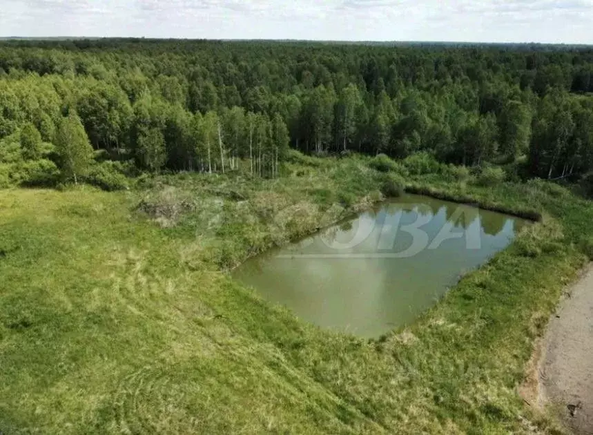 Участок в Тюменская область, Нижнетавдинский район, Журавли ДНП ул. ... - Фото 1