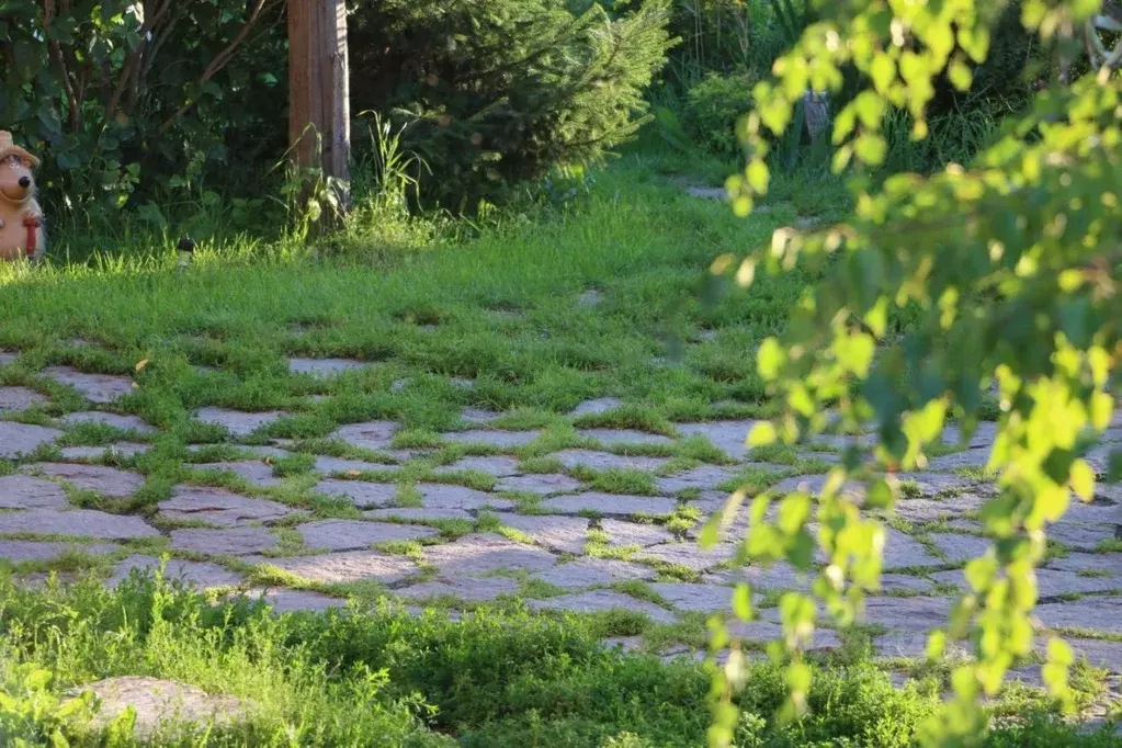 Дом в Свердловская область, Сысертский городской округ, пос. Большой ... - Фото 1