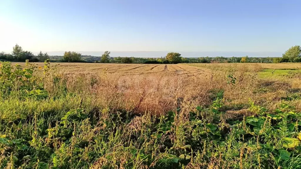 Дом в Белгородская область, Красногвардейский район, Утянское с/пос, ... - Фото 1