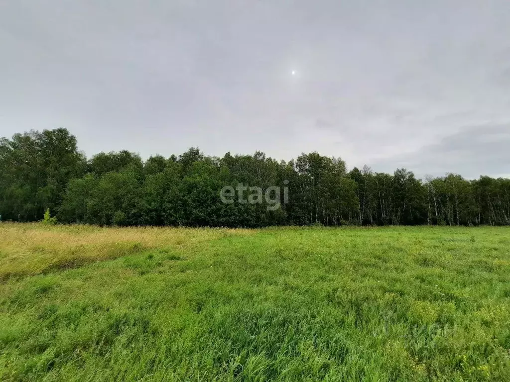 Участок в Тюменская область, Тюменский район, с. Луговое ул. ... - Фото 1