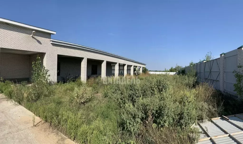 Помещение свободного назначения в Воронежская область, Павловск ... - Фото 1