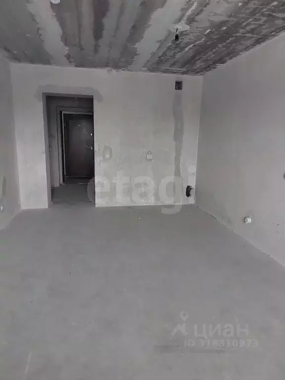 Студия Амурская область, Благовещенский район, с. Чигири ул. ... - Фото 1