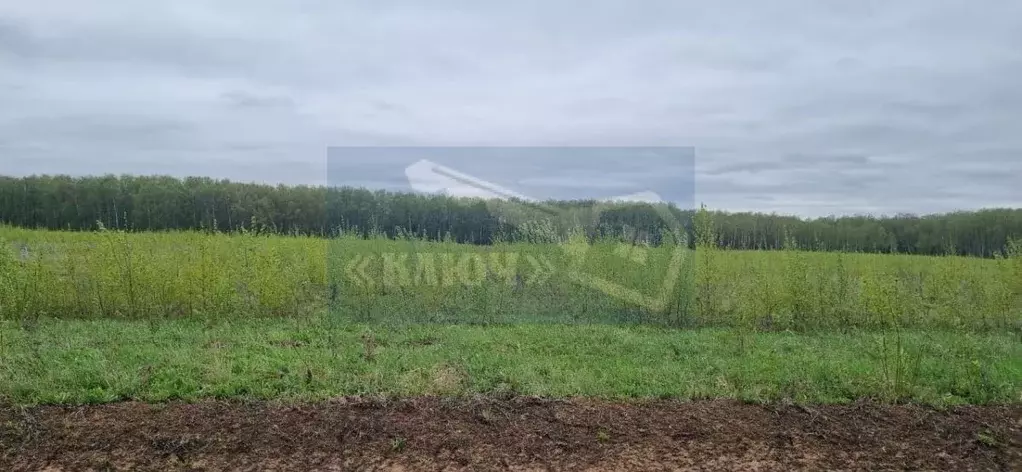 Участок в Московская область, Домодедово городской округ, с. Юсупово  ... - Фото 1