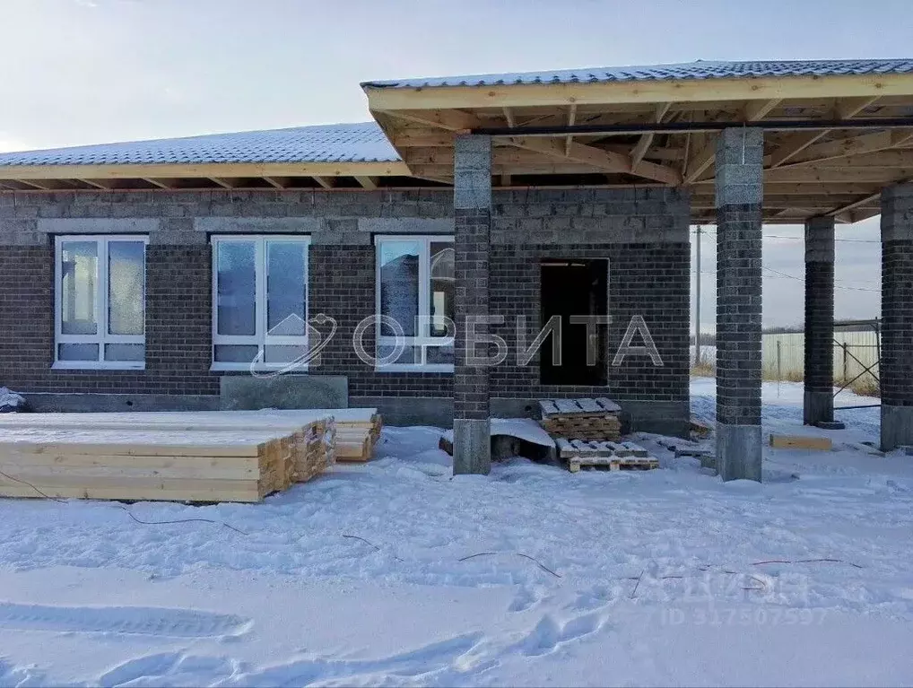 Дом в Тюменская область, Тюменский район, Серебряный бор ТСН ул. ... - Фото 1