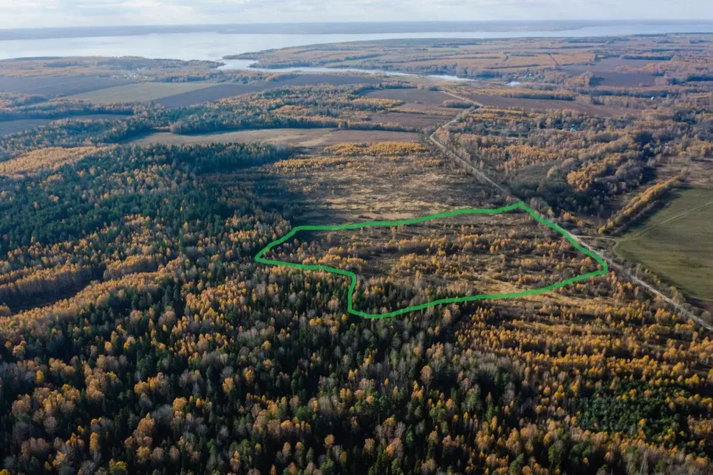 Участок в Нижегородская область, Сокольский городской округ, д. ... - Фото 1