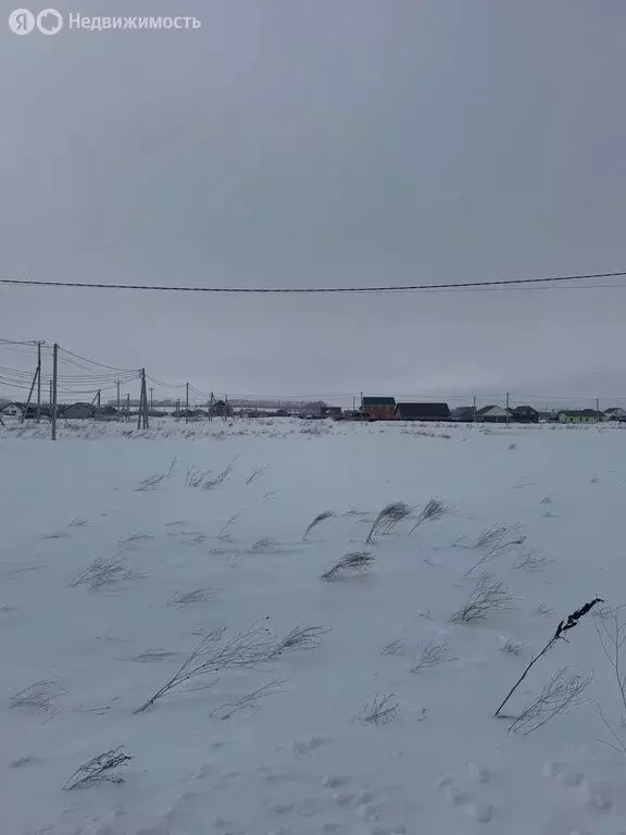 Участок в село Новое Барятино, улица Есенина, 22 (15 м) - Фото 2