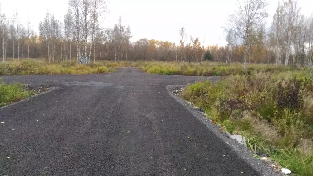 Участок в Ленинградская область, Всеволожский район, Куйвозовское ... - Фото 2