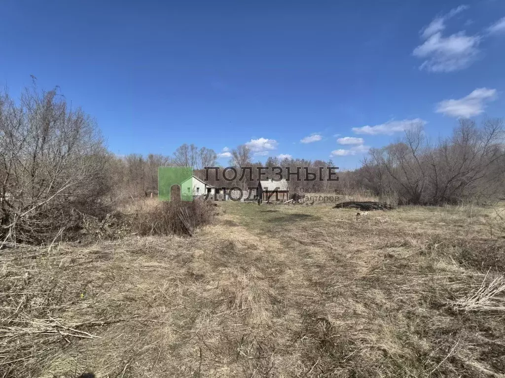 Участок в Самарская область, Сызранский район, Новая Рачейка с/пос, с. ... - Фото 1