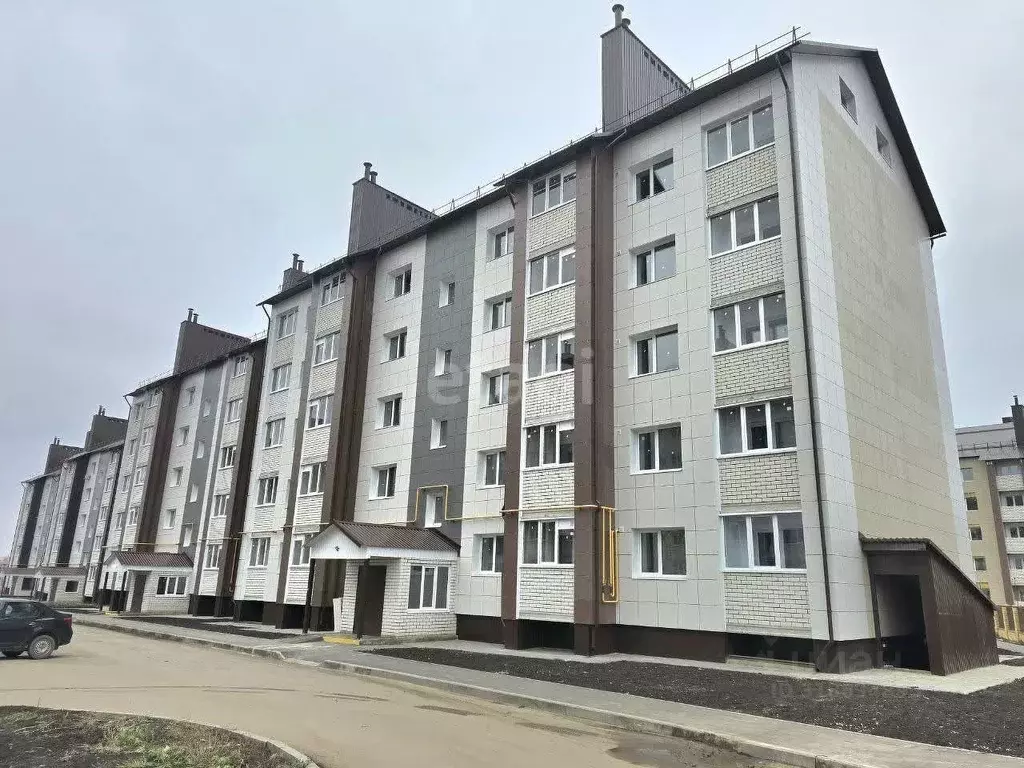1-к кв. Тамбовская область, Тамбовский муниципальный округ, д. Крутые ... - Фото 0